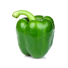 Fresh  green  pepper