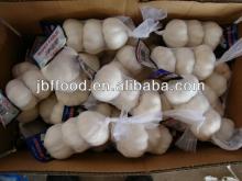  new   season   garlic 