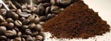 Free sample green coffee bean extract powder