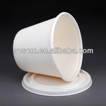 xiamen biodegradable bagasse sugarcane food cups