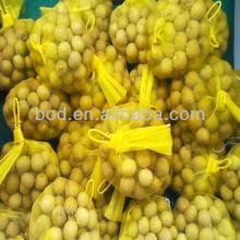 PE Fruit Net For Packaging