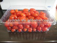 Plastic PP Frozen Food  Tray  For  Fruit 