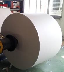 paper roll form for food packaging, single or double PE coating, good quality,leading manufacturer,