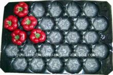 black color plastic pepper tray