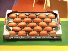 29x49cm Alveolar PP Tray For Fruit