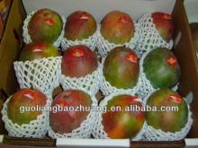 China Supplier Cheap Foam  Plastic   Net  For Fruit