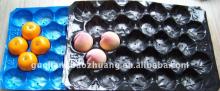 39*59cm Black Large Disposable Perforated Eco-friendly PP Fruit Packaging Tray for Peach