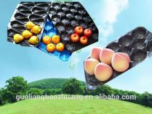 Factory Directly Customed PP Fruit And Vegetable Packaging Trays