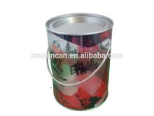 Family-size Basket shape  cookie   tin   box  with  tin plate handle