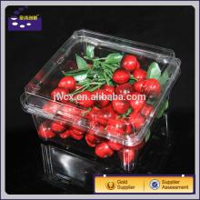 PP/PET/PS/PVC  Plastic  Fruit Tray