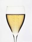 MADE IN ITALY -  Prosecco 