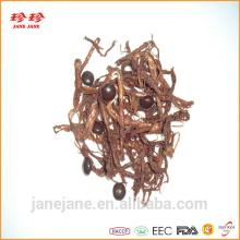 Chocolate Shredded Squid Seafood Snack