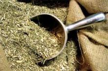  Yerba   Mate  Directo  Yerba tera Argentina