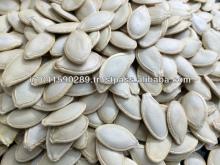 Pumpkin  Seeds (Mashhadi) & Snow  White  Pumpkin  Seeds 