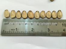 Watermelon Seeds