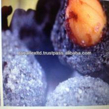 HALAL!! HOT SALE! FRESH COFFE TASTE  NUT S  SNACK 