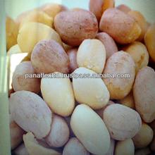 HALAL!! FRESH TASTEY NUTS SNACK