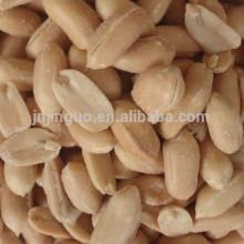 roasted peanut