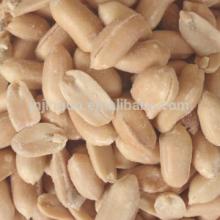 roasted peanut kernel