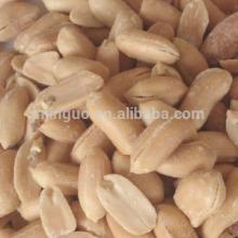  salted   peanut   kernel s