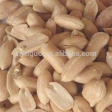 fried and salted peanut