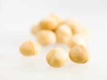 Roast Salt Macadamia Nuts