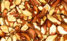 Quality Organic  Brazil   Nuts  in  Shell 