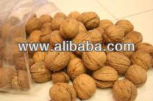 cashew nut