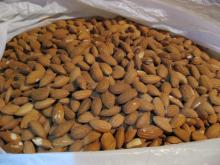 Almond Nuts /Pistachio Nuts/Cashew Nuts/Peanut/Pecan Nuts