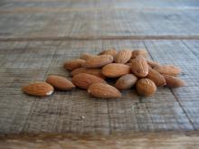 Dried Raw Sweet Aprikot Kernel Almond  Nuts 