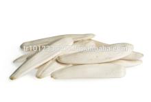 White Sunflowerseed