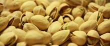 Pistachio nuts in stock now for sale