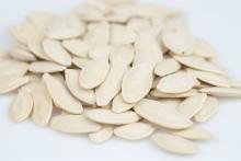 Pumpkin Seed