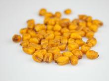 Roasted Corn