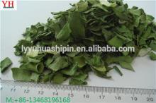 100% nature AD dried  green   leek s