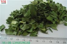 dehydrated green leek factory price