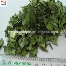 Air dried green leeks spices and herbs
