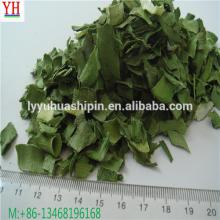 Quality supplier for AD dried green leeks