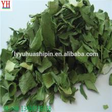 north west growing origin AD dried green leeks