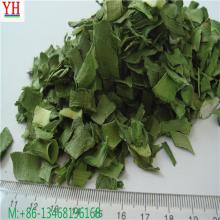 chinese supplier of dehydrated all green leek