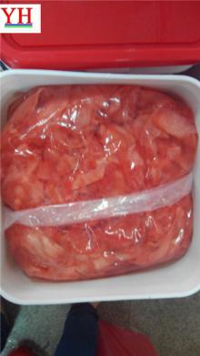 hot sale sushi ginger pickled ginger for japanese restaurant