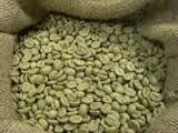 Green  Arabica   Coffe  Beans