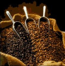 Coffee Bean / Ground