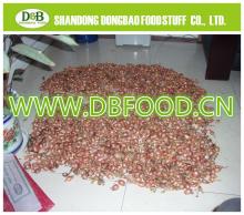 Factory supply New season high quality Fresh Onion Shallot