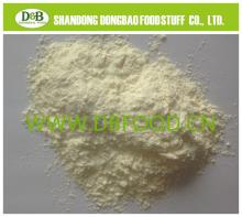 Dry Garlic powder 100-120 mesh from factory