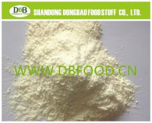 Dry Garlic powder 100-120 mesh from factory with new crop