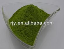 High purity spinach powder