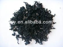 Dehydrated  Seaweed   Strip s