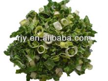 AD dried green chive from china
