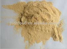 Air Dried Onion Powder